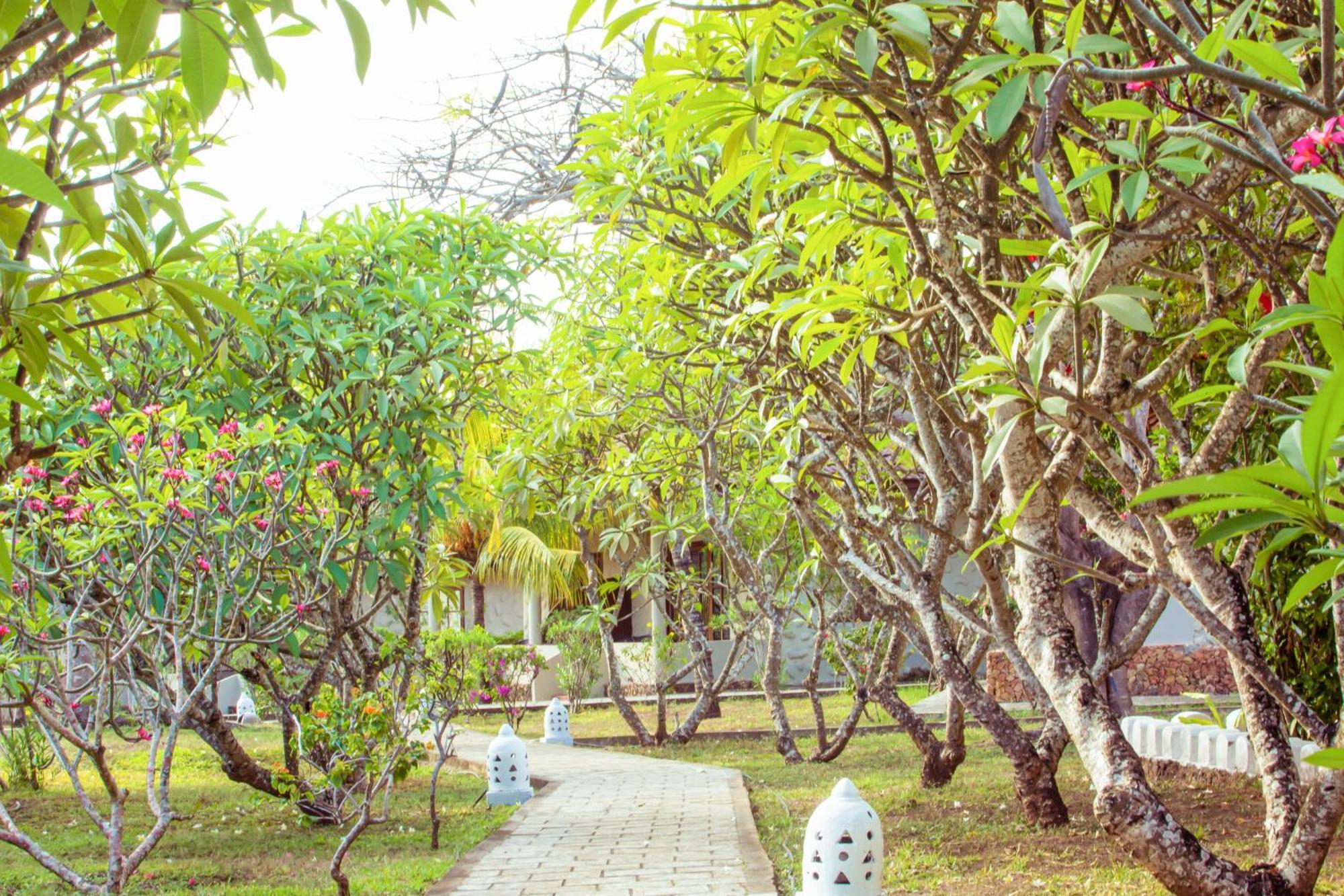 Mandarin Resort Zanzibar キジカジ エクステリア 写真