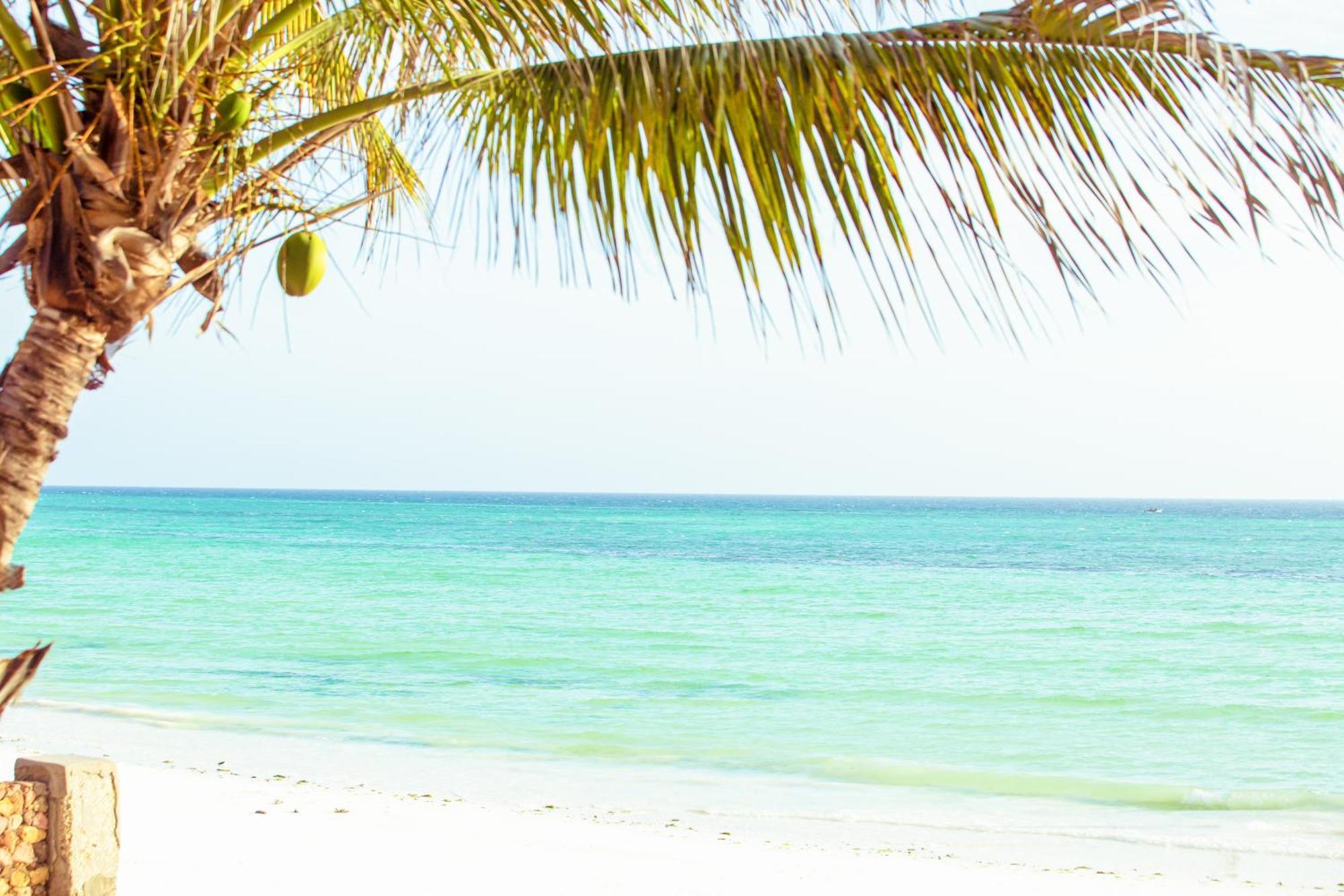 Mandarin Resort Zanzibar キジカジ エクステリア 写真